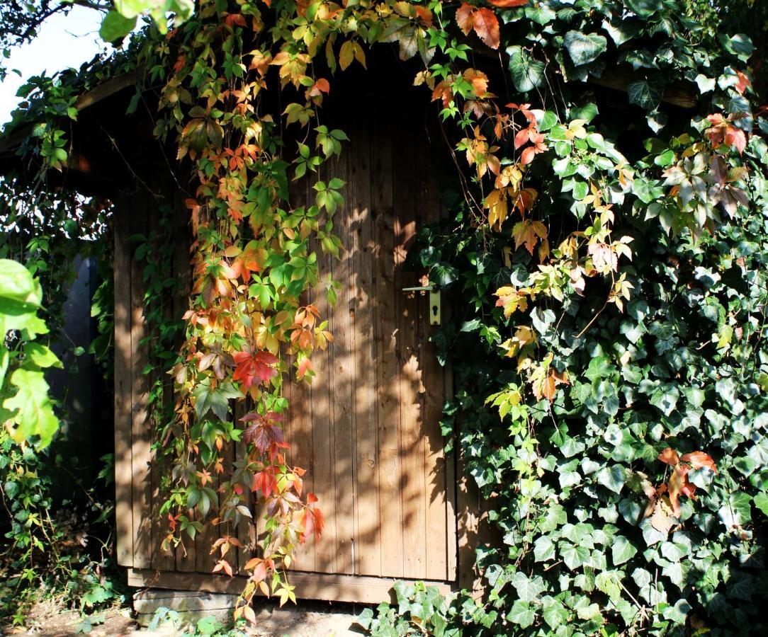 Appartement Little Paradise - Retreat- And Meditation Center à Hoisdorf Extérieur photo